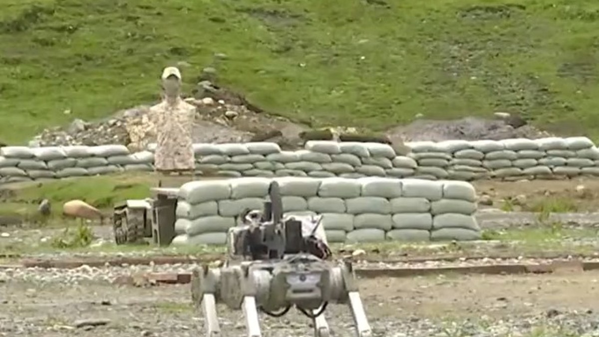 Canines at War: Watch out for China's robotic dogs equipped with arms Canines at War: Watch out for China's robotic dogs equipped with arms