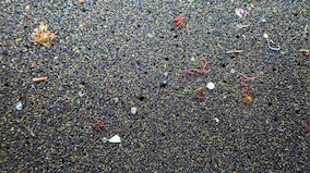 Vantage | How do microplastics end up in the arteries of people?