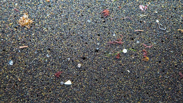 Vantage | How do microplastics end up in the arteries of people?