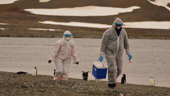 Agriculture officials in at least 17 states have restricted imports of dairy cattle from states where the virus has been detected, but, so far, government agencies say it's had little effect on commercial milk production. Reuters 