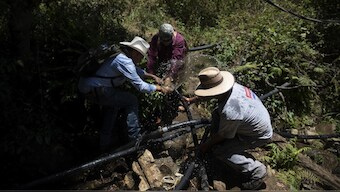 In Mexico's Michoacan, subsistence farmers and activists are attacking irrigation infrastructure watering avocado orchards. AP