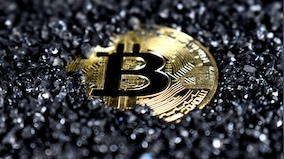Markets see a Trump victory as dollar rallies, bitcoin hits record
