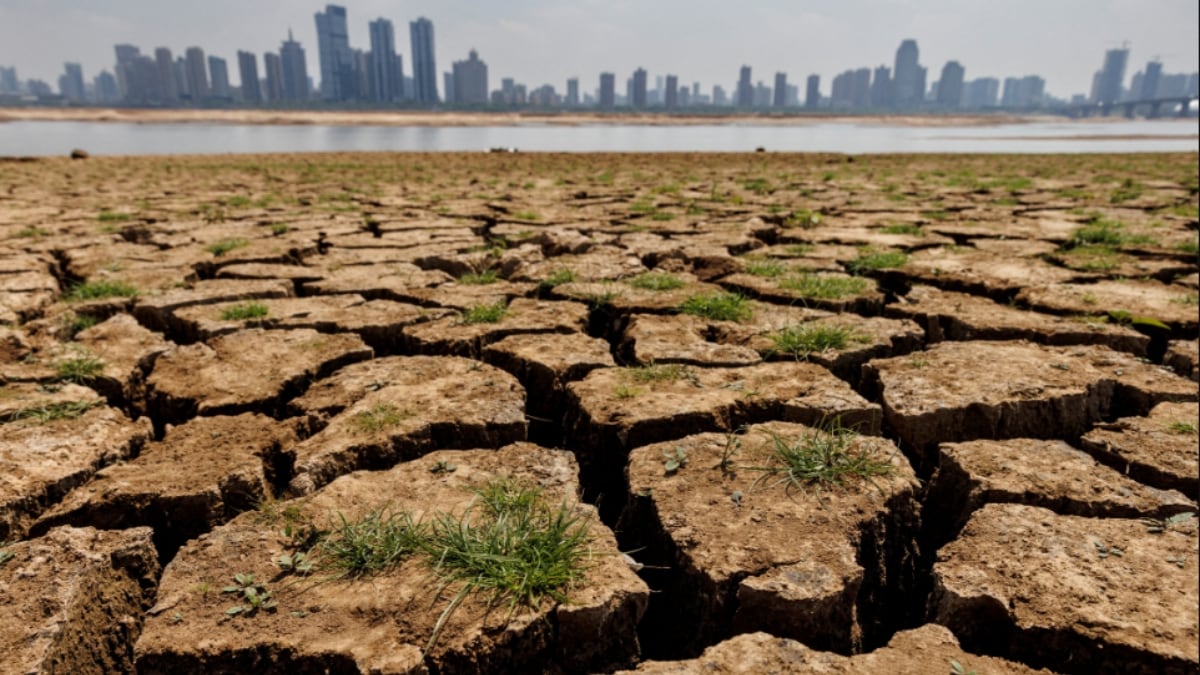 Raisina Dialogue 2025 | 'Middle East has best agricultural practices': ORF expert on climate adaptability