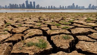 A panel in 2021 defined ecocide as 'unlawful or wanton acts committed with knowledge that there is a substantial likelihood of severe and either widespread or long-term damage to the environment being caused by those acts.' Reuters