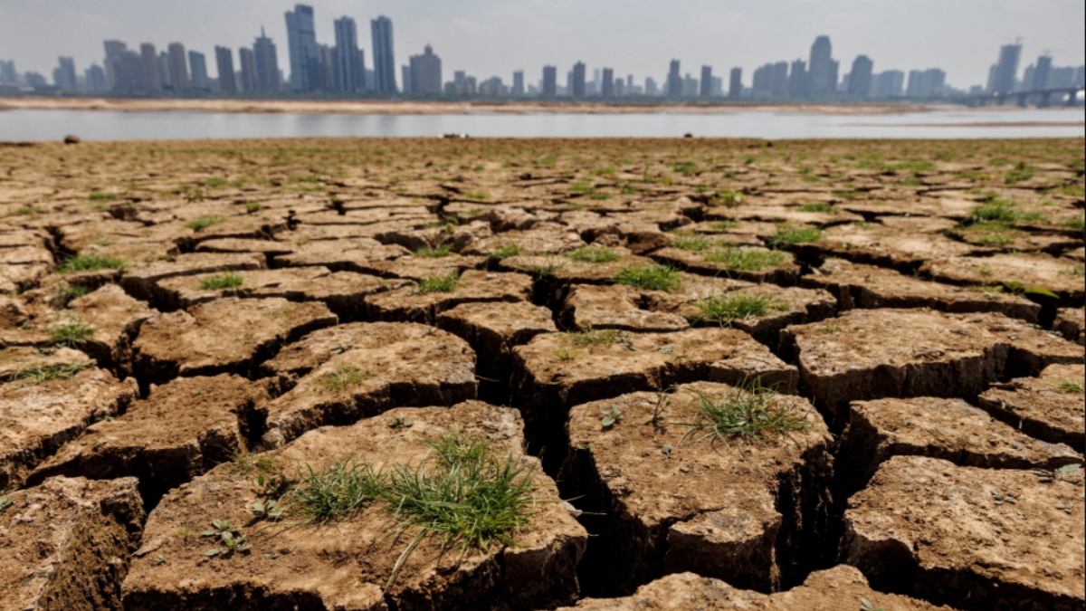 What is ecocide? Can harming nature become a crime like genocide? What is ecocide? Can harming nature become a crime like genocide?