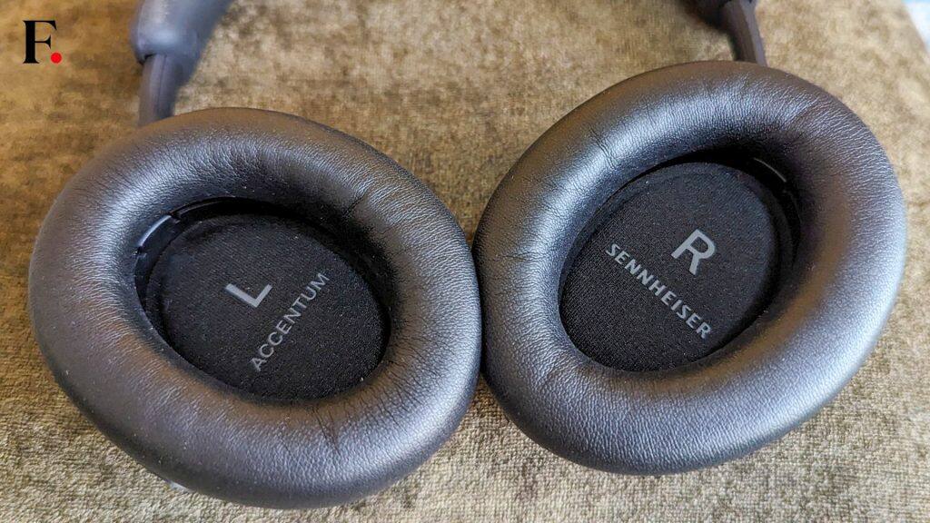 Earcups-2024-04-cdb610e082794c401ed40f3d0b2dc83f