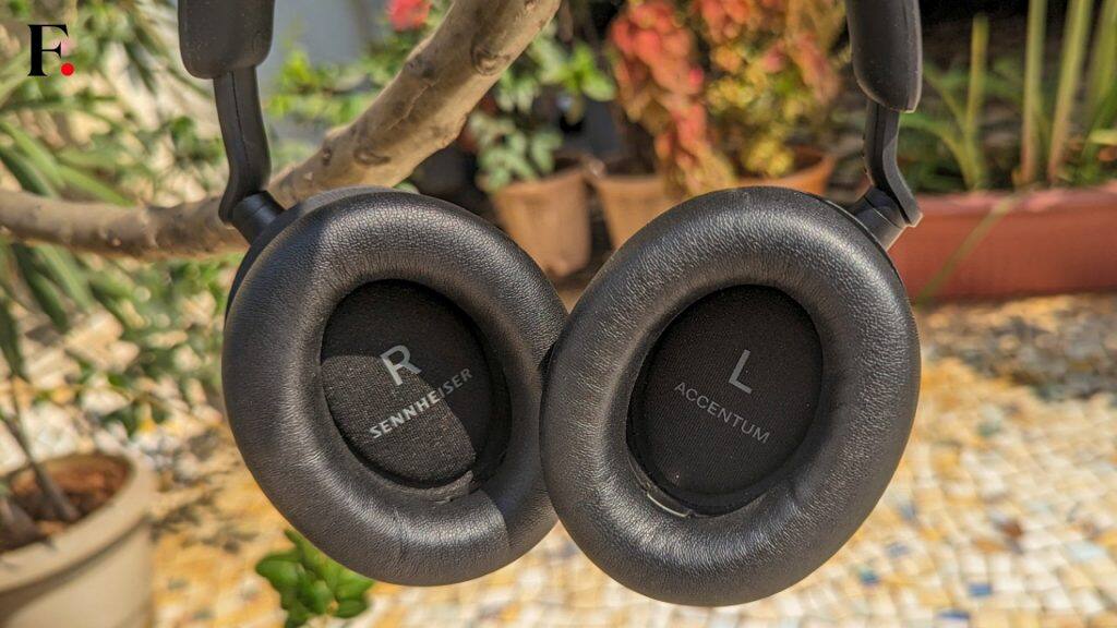 Earpads-2024-04-86e31de145a8df5ab495ab64b4864dba