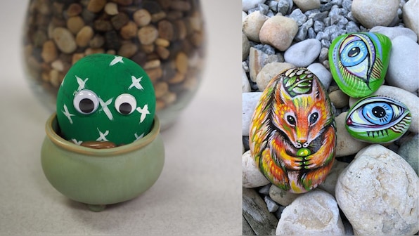  Why South Koreans are buying rocks to fight loneliness