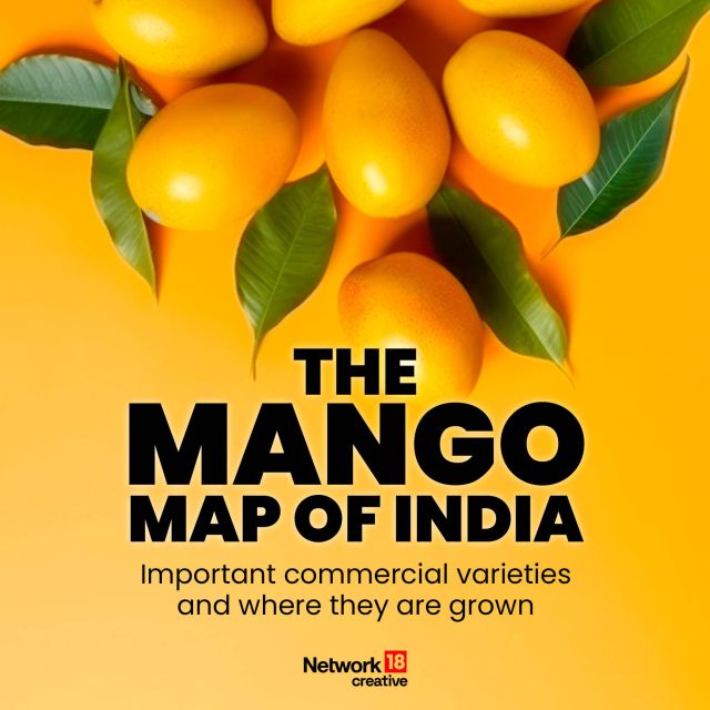 In Graphics | The Mango Map of India: From Maharashtra’s Alphonso to ...