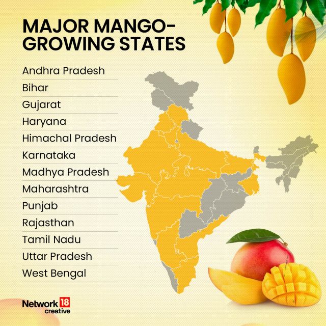 In Graphics | The Mango Map of India: From Maharashtra’s Alphonso to ...