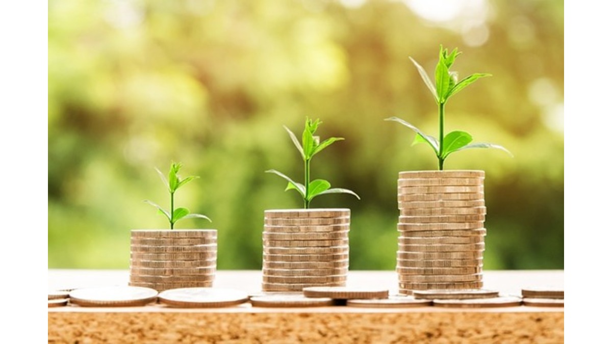 Invest in FDs and Earn a Guaranteed Income of up to ₹1 Crore Invest in FDs and Earn a Guaranteed Income of up to ₹1 Crore