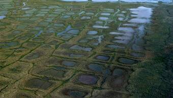 In this undated photo provided by the United States Geological Survey, permafrost forms a grid-like pattern in the National Petroleum Reserve-Alaska, managed by the Bureau of Land Management on Alaska's North Slope. - AP
