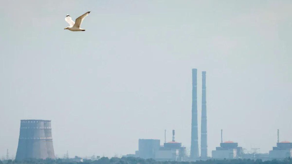 IAEA chief welcomes cold shutdown of all Zaporizhzhia nuclear plant reactor units IAEA chief welcomes cold shutdown of all Zaporizhzhia nuclear plant reactor units