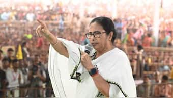 West Bengal CM and TMC supremo Mamata Banerjee has expressed skepticism over the claims of CBI on weapons' recovery at Sandeshkhali. (Photo: PTI)