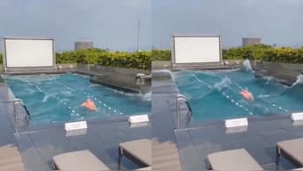 Screengrab from the viral video.