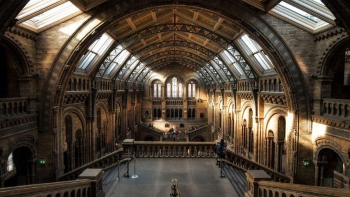 In Graphics | Which are the most popular museums in Europe, the US? In Graphics | Which are the most popular museums in Europe, the US?