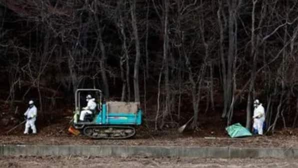 Russia declares ‘state of emergency’ after radiation detected in eastern city of Khabarovsk