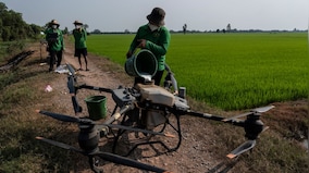 Vietnam farmers are reducing methane emissions by changing the way they grow rice. Here’s how