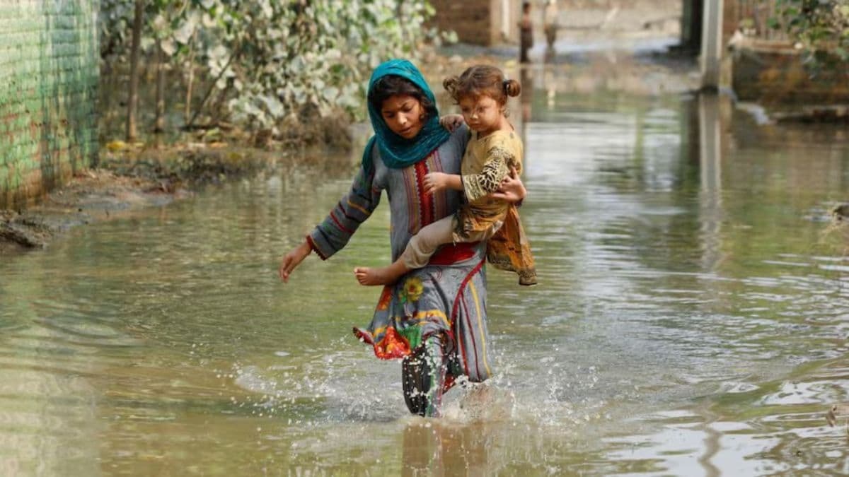 Delhi is not alone: How climate change has added average of 26 extra days of extreme heat across world