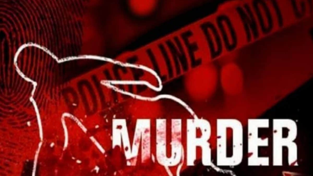 Delhi double murder: Father, son duo kill daughter, her paternal uncle over 'illicit love affair'