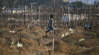 A grave digger walks past fresh graves at a cemetery in Freetown, Sierra Leone. The increase in kush users has led to dealers and addicts becoming grave robbers. Image used for representational purposes/Reuters