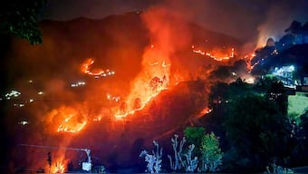Forest fires have been raging through most parts of Uttarakhand since Friday. PTI