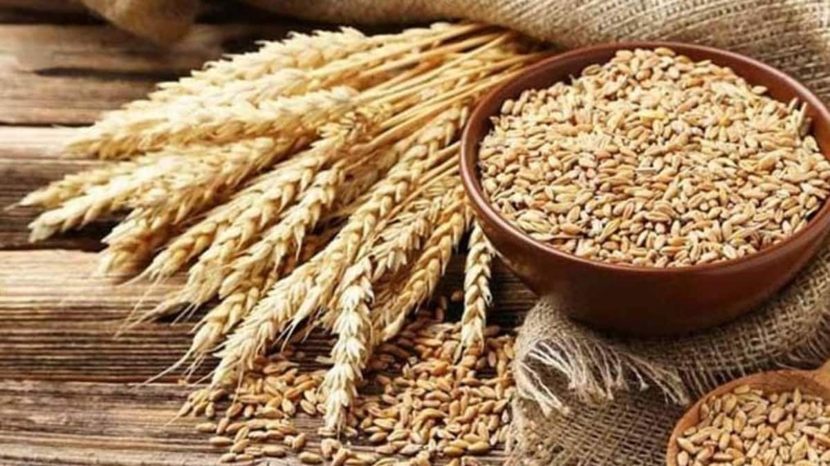 What is the Wheat Import Scam that took Pakistan and its farmers by storm? – Firstpost