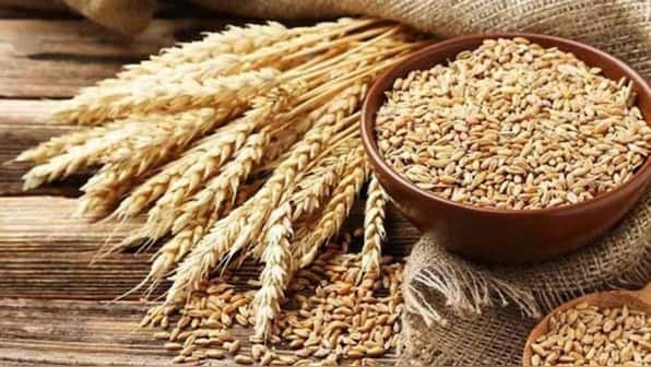What is the wheat import scam that took Pakistan and its farmers by storm?