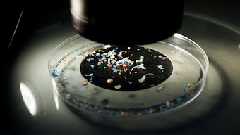 Microplastics refer to any plastics that is less than five millimetres (0.2 inches) in length. Reuters