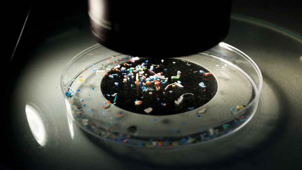 Microplastics refer to any plastics that is less than five millimetres (0.2 inches) in length. Reuters Microplastics refer to any plastics that is less than five millimetres (0.2 inches) in length. Reuters