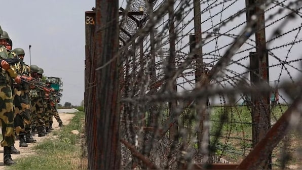 Why BSF put beehives on fence along Indo-Bangladesh border