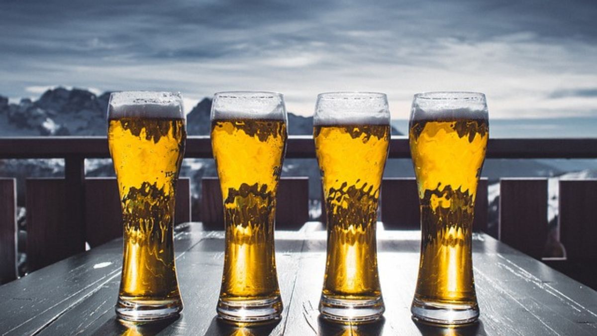 Why beer tastes better when it’s cold. The science explained Why beer tastes better when it’s cold. The science explained
