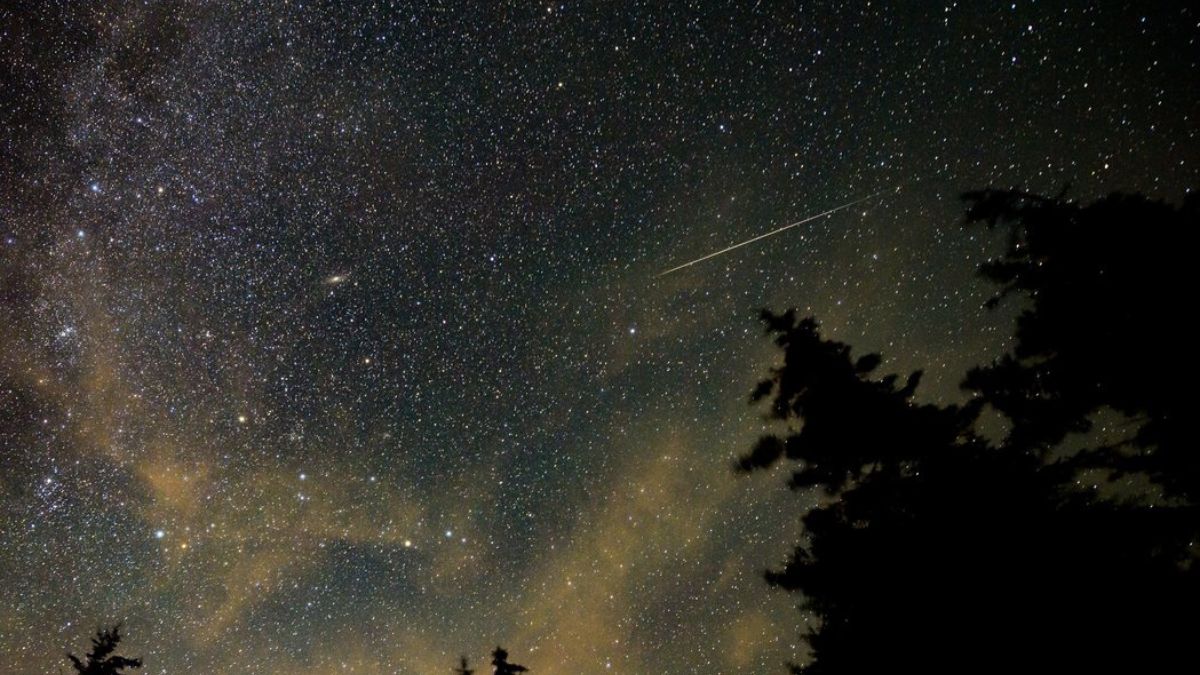 Could Nasa's DART mission create the first human-made meteor shower? Could Nasa's DART mission create the first human-made meteor shower?