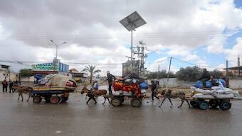 Palestinians flee from the eastern side of the southern Gaza city of Rafah after the Israeli army orders them to evacuate ahead of a military operation, in Rafah, Gaza Strip. AP