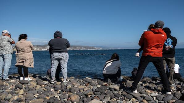 Mexico: Bodies of murdered Australian, US surfers identified by relatives
