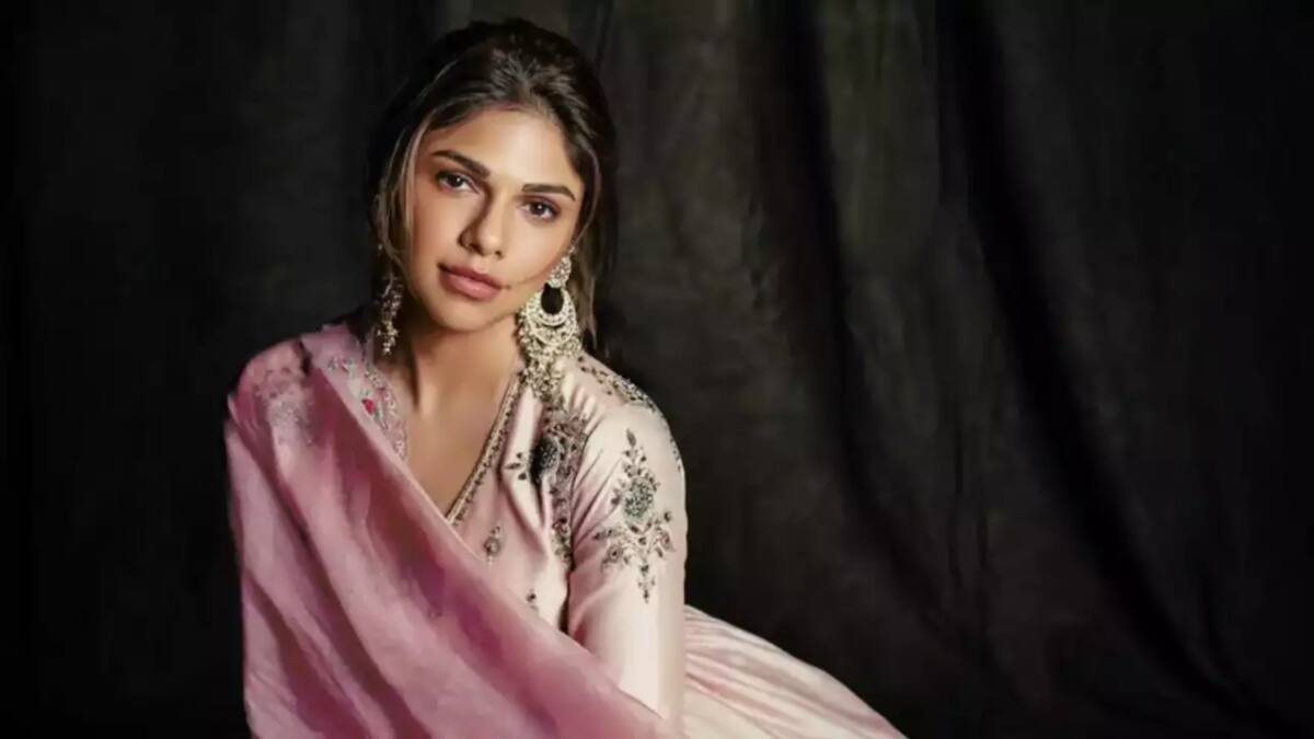 Netflix's Heeramandi: Indresh Malik on co-star Sharmin Segal being trolled: 'Everybody has the right to...' - Vimarsana News