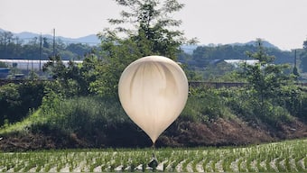 South Korea has accused North Korea of sending balloons filled with faeces and trash across the border. Reuters
