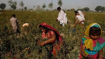 Pakistan's central bank predicted real GDP growth of 2-3% for the fiscal year 2024 last week in its half-yearly report Image Courtesy Reuters