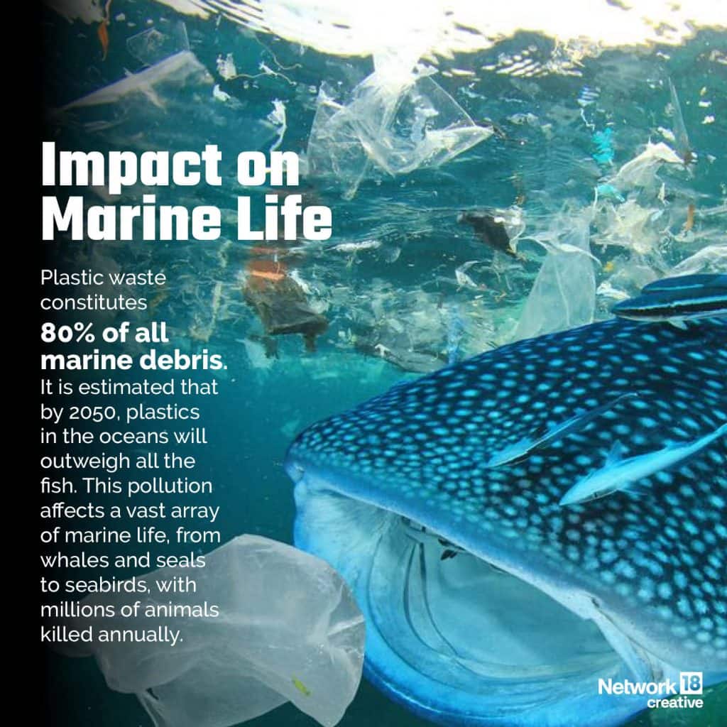 Plastic visual data 3