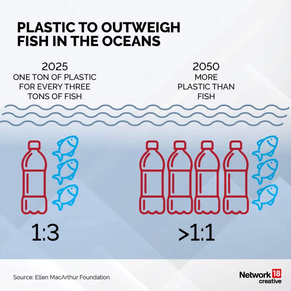 Plastic visual data 5