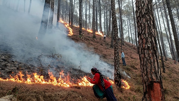 Why Uttarakhand forests are on fire this season – Firstpost