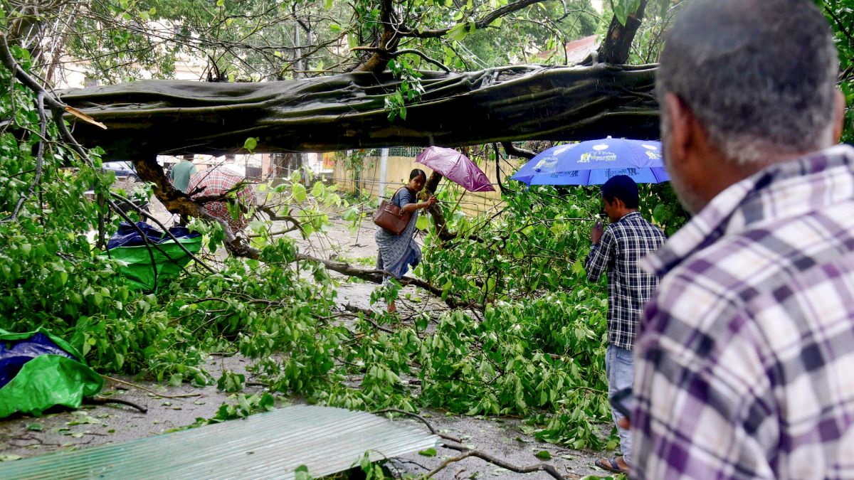 Representative image. PTI Representative image. PTI