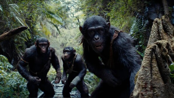 EXCLUSIVE | 'Kingdom Of The Planet Of The Apes' movement coach Alain Gauthier: 'The actors were so good at performing their apes that...'