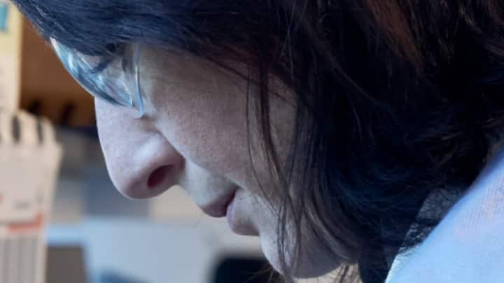 World's first patient begins sickle cell gene therapy treatment: What is it? World's first patient begins sickle cell gene therapy treatment: What is it?