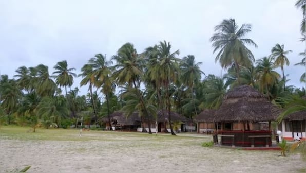 Why Is Lakshadweep Facing Widespread Coral Bleaching? – Firstpost