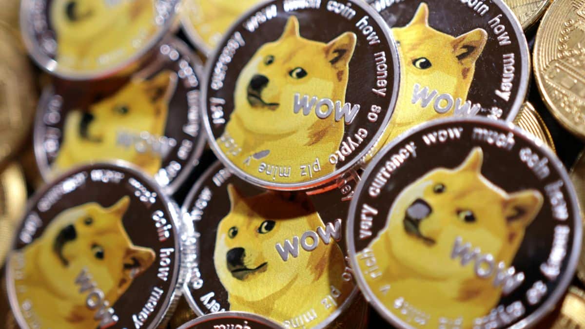 ピンズ・ピンバッジ・缶バッジ Real Dogecoin Coin Kabosu-chan Kabosu, the famed Shiba Inu dies: How a rescue dog became the face