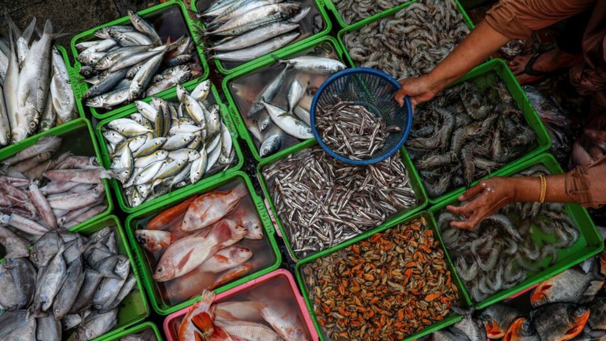A year after banning import of seafood from Japan, China continues to keep up with its demand. Representative Image: Reuters A year after banning import of seafood from Japan, China continues to keep up with its demand. Representative Image: Reuters