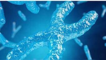 Male factors, such as low sperm count, aberrant sperm motility, and abnormal sperm size and shape, are responsible for half of all cases of infertility caused by abnormal semen parameters