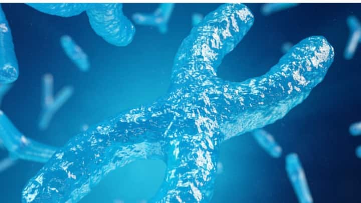 Faulty gene from mother can be behind son's infertility, says new study Faulty gene from mother can be behind son's infertility, says new study