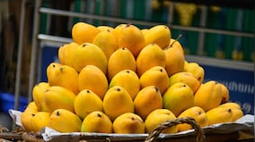 In Graphics l Which countries are importing Indian mangoes the most?